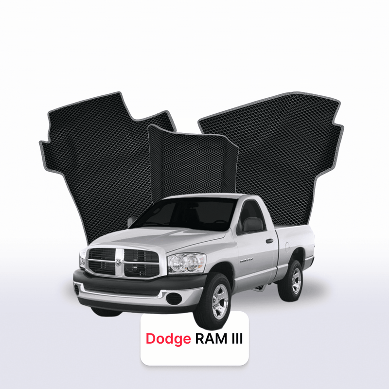 Fußmatten EVA für Dodge RAM(DRDH) 3 gen 2001-2009 jahr PICK-UP einzelkabine