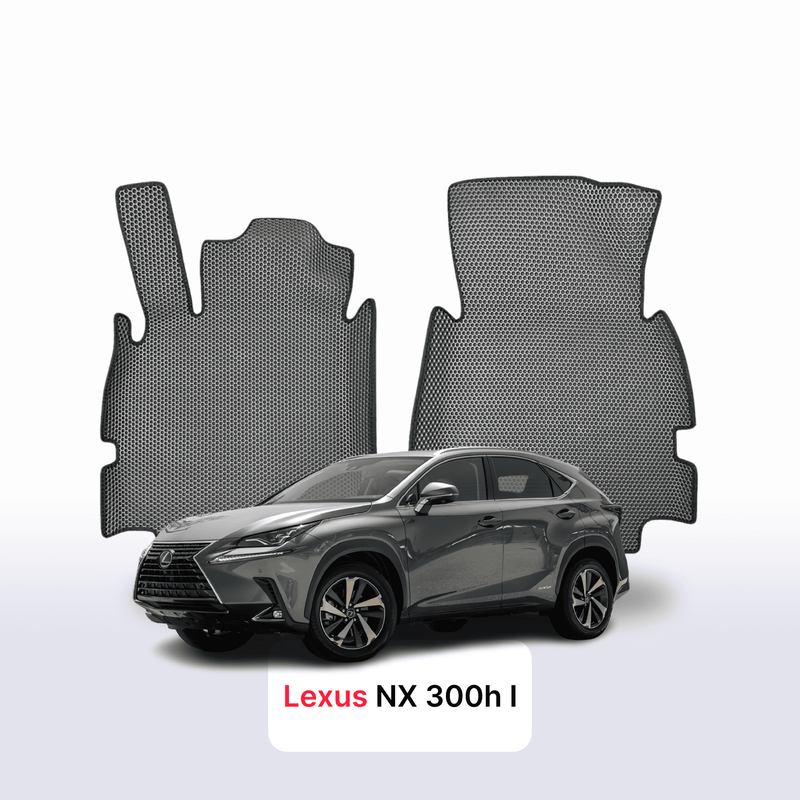 Fußmatten EVA für Lexus NX 300h 1 gen 2014-2021 jahr SUV