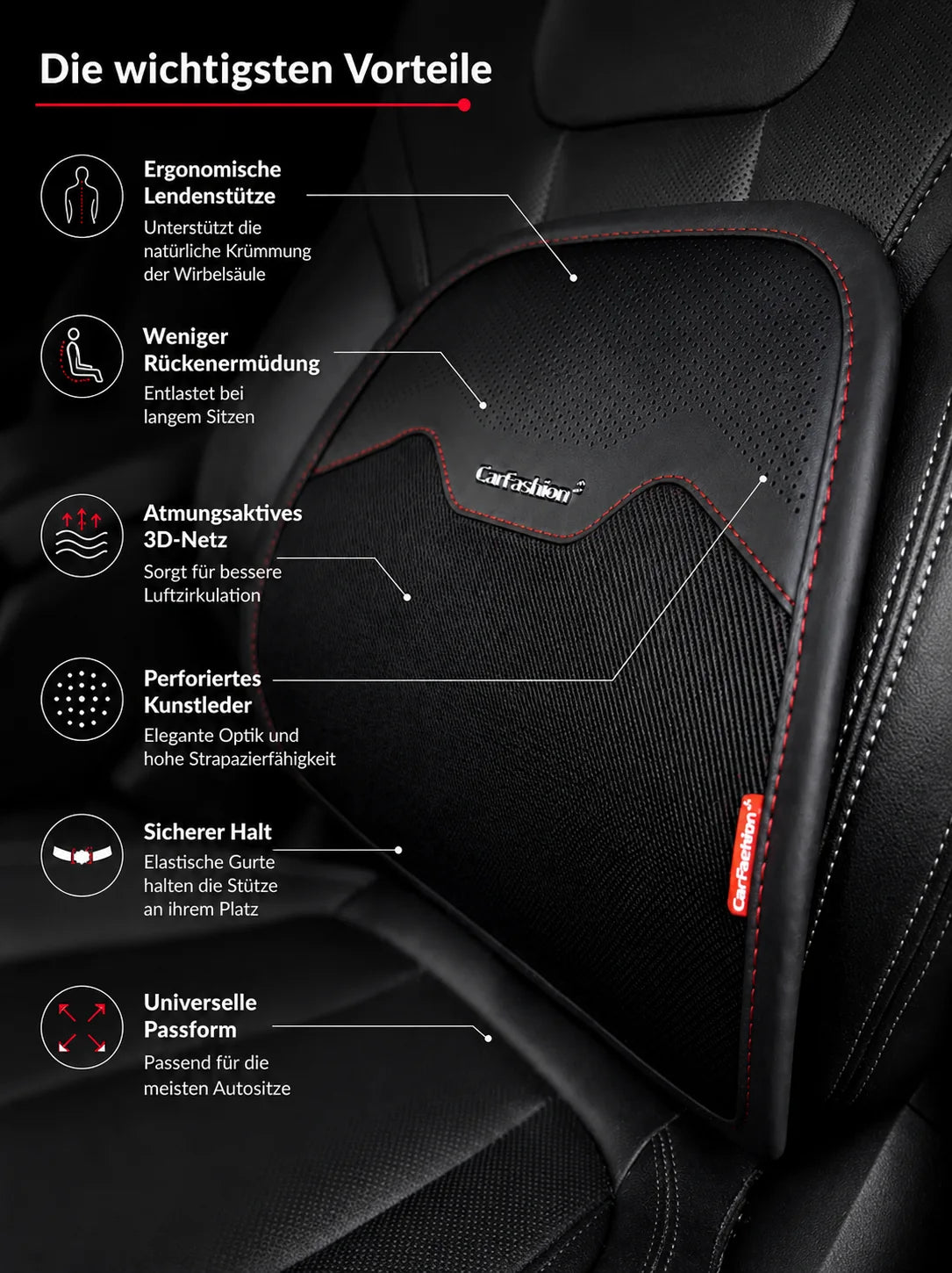 Lendenstützkissen fürs Auto - Bild 3